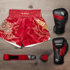 Hayabusa Falcon Muay Thai Shorts - Red